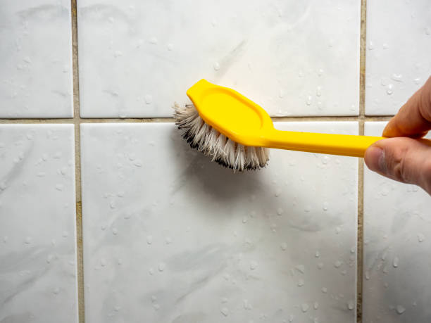 Professional Mold Remediation in Rosharon, TX