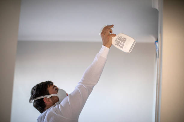Best Post-Flood Mold Remediation in Rosharon, TX