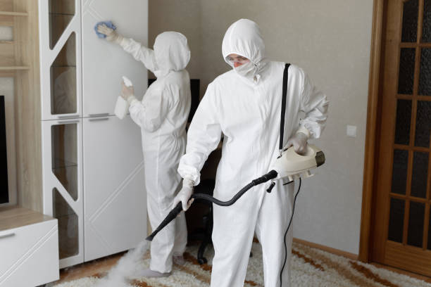 Best Basement Mold Remediation in Rosharon, TX